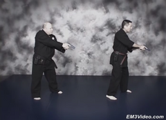 Hojutsu Ryu by Jeff Hall (On Demand) - Budovideos Inc