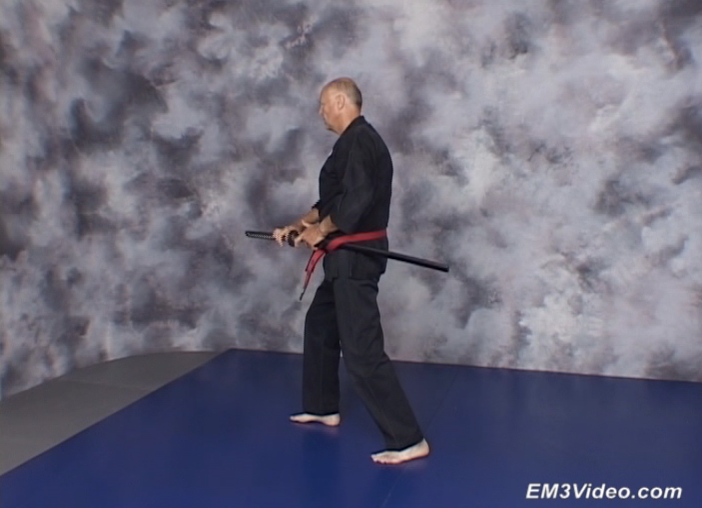 Hojutsu Ryu by Jeff Hall (On Demand) - Budovideos Inc