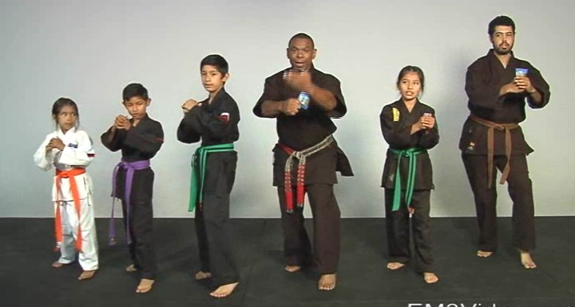 Masterclass Kenpo Volume 1 Kenpo Basics by Robert Temple (On Demand) - Budovideos Inc