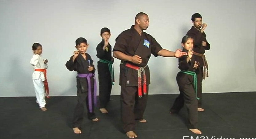 Masterclass Kenpo Volume 1 Kenpo Basics by Robert Temple (On Demand) - Budovideos Inc