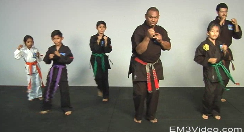 Masterclass Kenpo Volume 1 Kenpo Basics by Robert Temple (On Demand) - Budovideos Inc