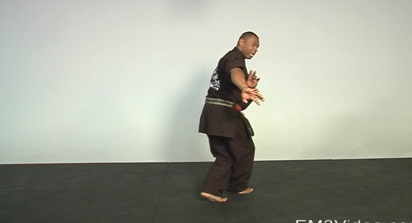 Masterclass Kenpo Volume 2 Kenpo Self Defense by Robert Temple (On Demand) - Budovideos Inc