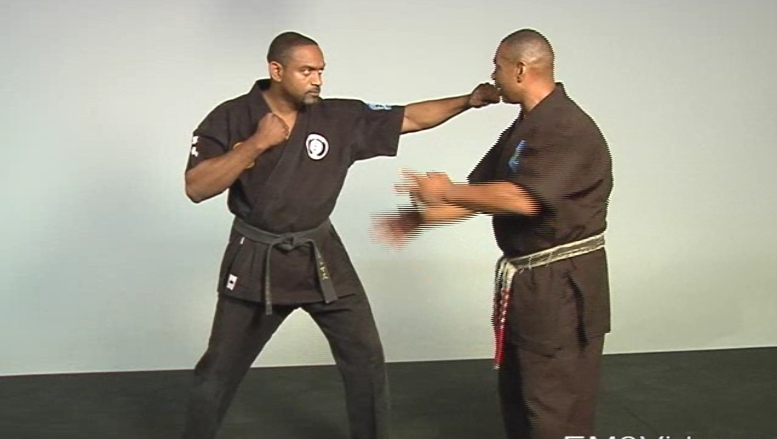 Masterclass Kenpo Volume 2 Kenpo Self Defense by Robert Temple (On Demand) - Budovideos Inc