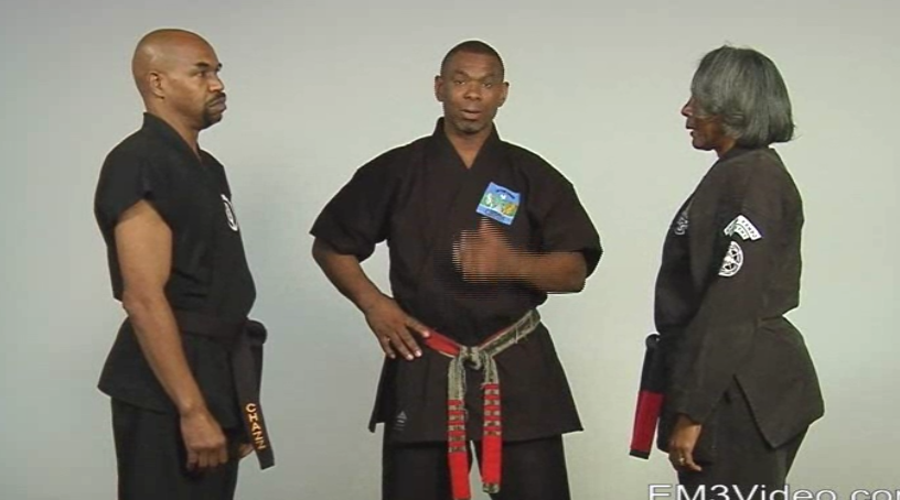 Masterclass Kenpo Volume 3 Practical Kenpo by Robert Temple (On Demand) - Budovideos Inc