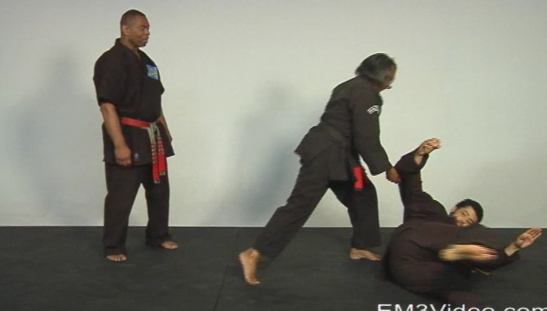 Masterclass Kenpo Volume 3 Practical Kenpo by Robert Temple (On Demand) - Budovideos Inc