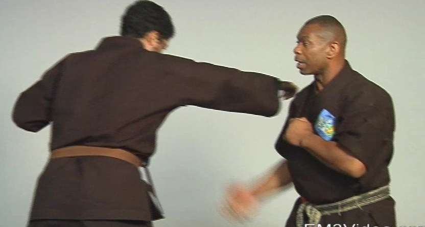 Masterclass Kenpo Volume 3 Practical Kenpo by Robert Temple (On Demand) - Budovideos Inc