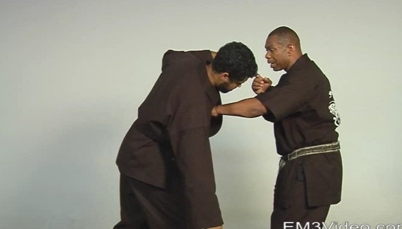 Masterclass Kenpo Volume 3 Practical Kenpo by Robert Temple (On Demand) - Budovideos Inc