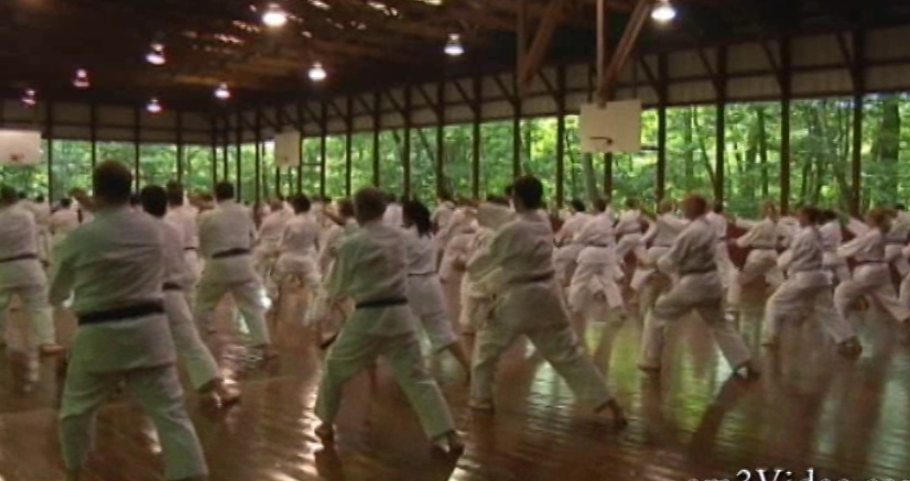 Shotokan Masters with Teruyuki Okazaki (On Demand) - Budovideos Inc