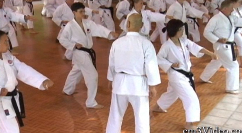 Shotokan Masters with Hideo Ochi (On Demand) - Budovideos Inc
