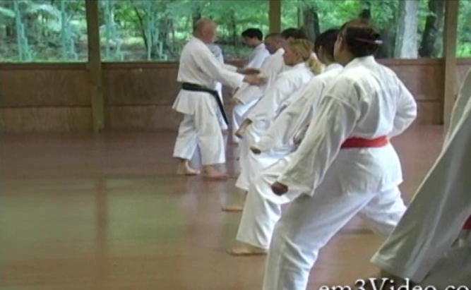 Shotokan Masters with Shunsuke Takahashi (On Demand) - Budovideos Inc