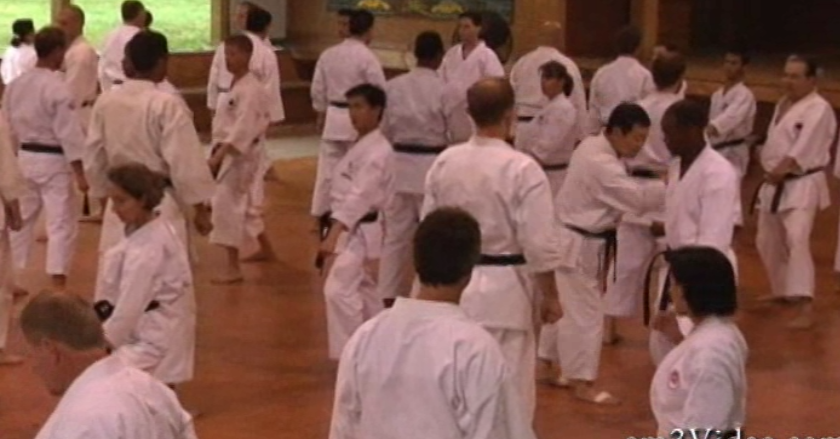 Shotokan Masters with Yutaka Yaguchi (On Demand) - Budovideos Inc