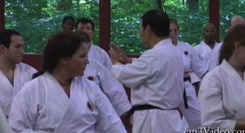 Shotokan Masters with Yutaka Yaguchi (On Demand) - Budovideos Inc