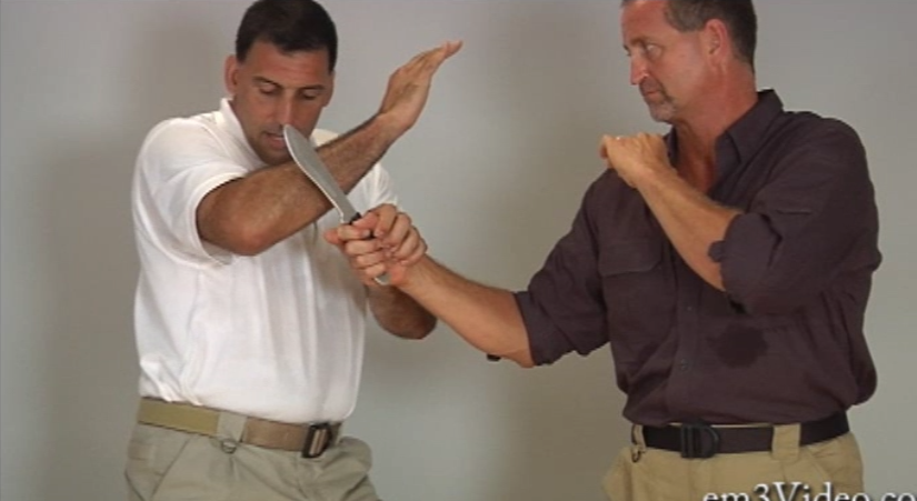 The Art of Disarming by Steve Tarani (On Demand) - Budovideos Inc