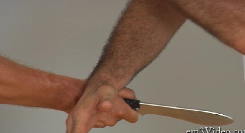 The Art of Disarming by Steve Tarani (On Demand) - Budovideos Inc