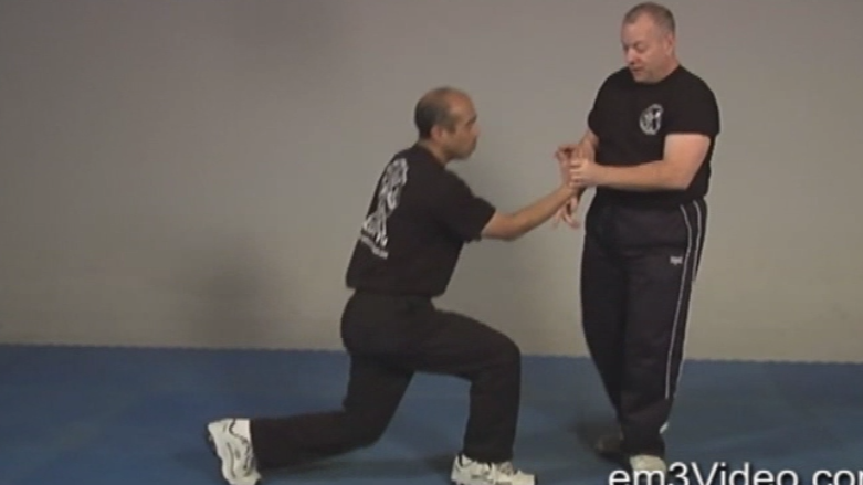 Combat Chin Na by Tony Massengill (On Demand) - Budovideos Inc