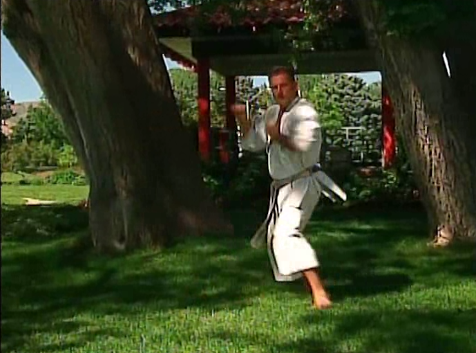 Masterclass Shotokan Katas Vol 1 by Michael Berger (On Demand) - Budovideos Inc