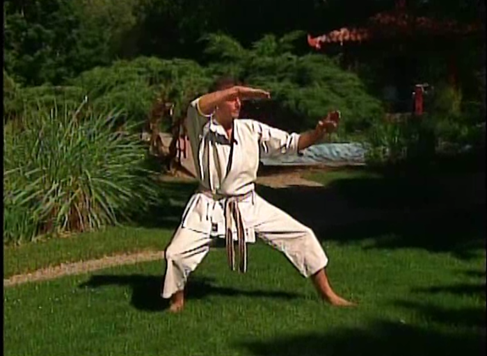 Masterclass Shotokan Katas Vol 1 by Michael Berger (On Demand) - Budovideos Inc