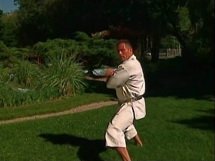 Masterclass Shotokan Katas Vol 1 by Michael Berger (On Demand) - Budovideos Inc