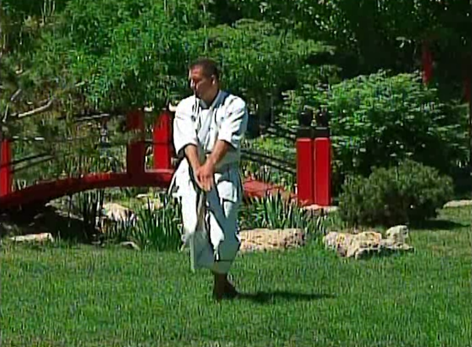 Masterclass Shotokan Katas Vol 2 by Michael Berger (On Demand) - Budovideos Inc