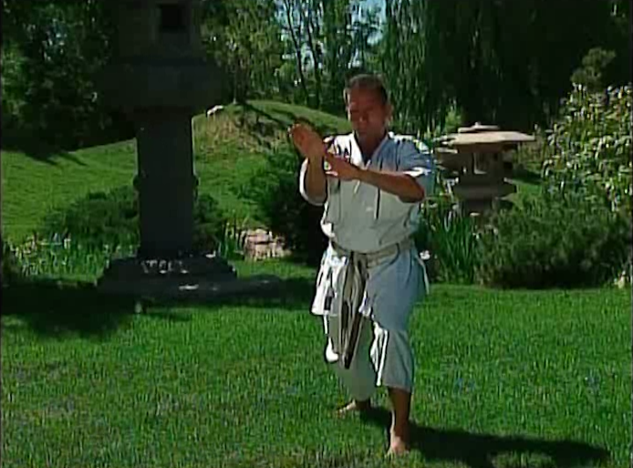 Masterclass Shotokan Katas Vol 2 by Michael Berger (On Demand) - Budovideos Inc