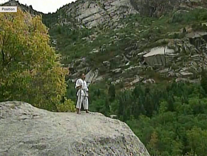 Masterclass Shotokan Katas Vol 3 by Michael Berger (On Demand) - Budovideos Inc