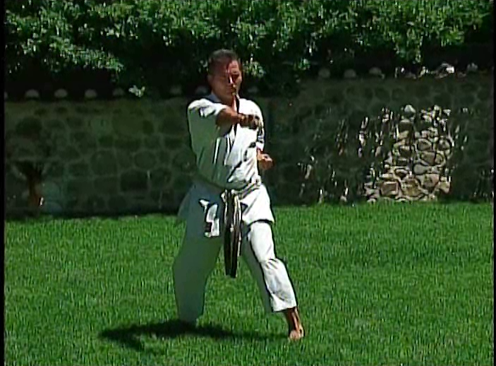 Masterclass Shotokan Katas Vol 3 by Michael Berger (On Demand) - Budovideos Inc