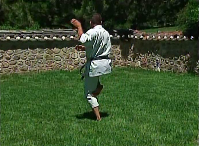 Masterclass Shotokan Katas Vol 3 by Michael Berger (On Demand) - Budovideos Inc