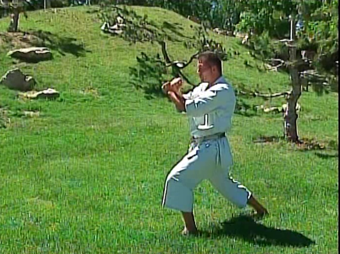 Masterclass Shotokan Katas Vol 3 by Michael Berger (On Demand) - Budovideos Inc