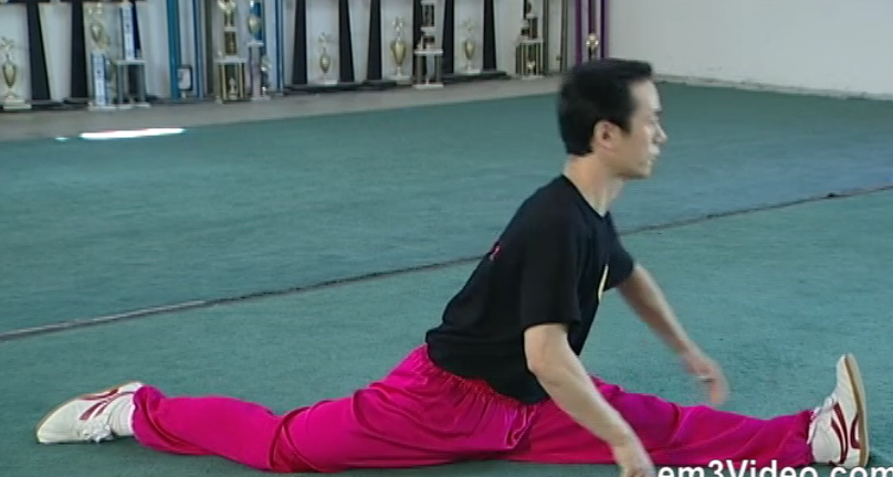 Mastering Wushu by Jiang Bangjun (On Demand) - Budovideos Inc