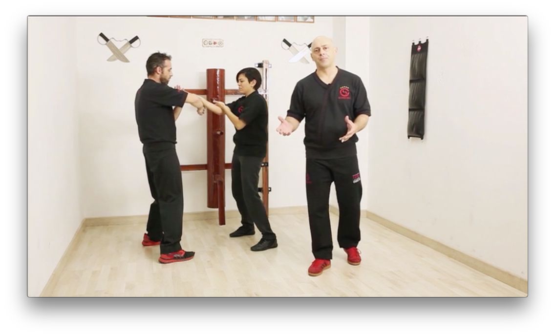 Chi Sao Wing Tsun TAOWS Academy by Salvador Sanchez (On Demand) - Budovideos Inc