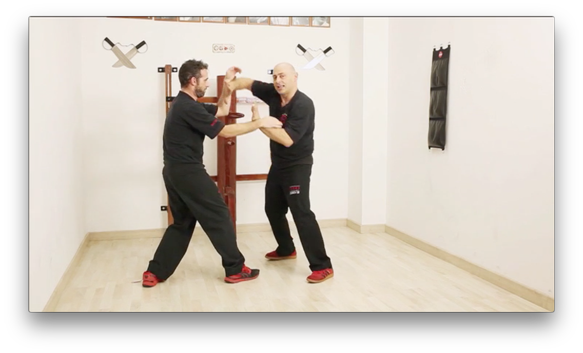 Chi Sao Wing Tsun TAOWS Academy by Salvador Sanchez (On Demand) - Budovideos Inc