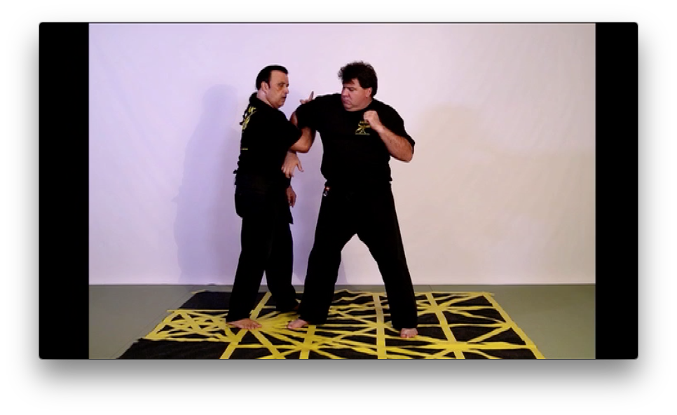 Pukulan Pencak Silat Serak Empty Hands by Horacio Rodriguez (On Demand) - Budovideos Inc