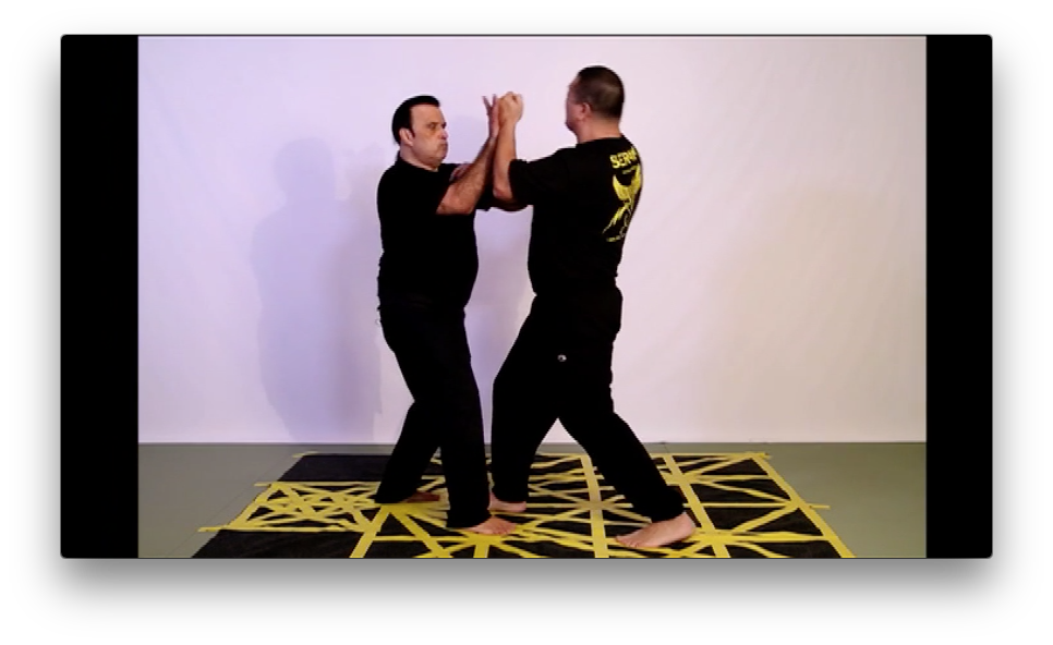 Pukulan Pencak Silat Serak Empty Hands by Horacio Rodriguez (On Demand) - Budovideos Inc