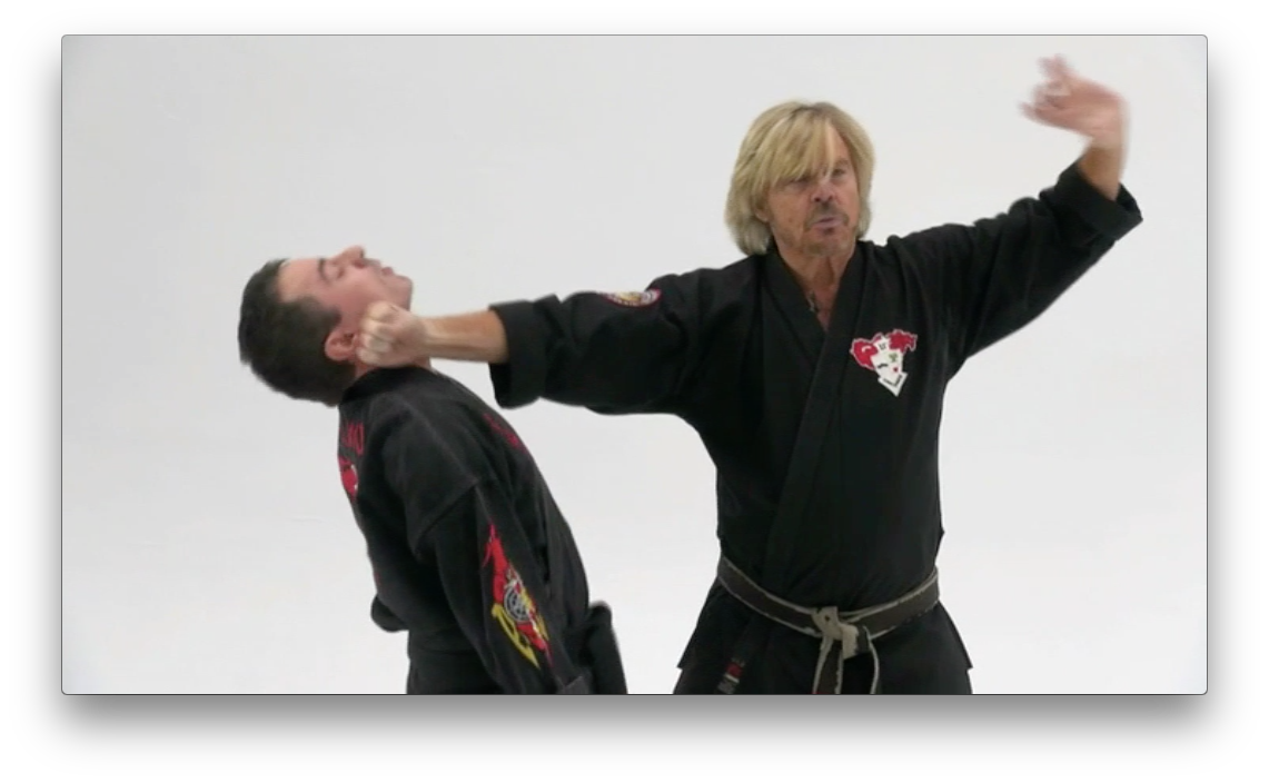 Kenpo, My Favorite Techniques by Larry Tatum (On Demand) - Budovideos Inc