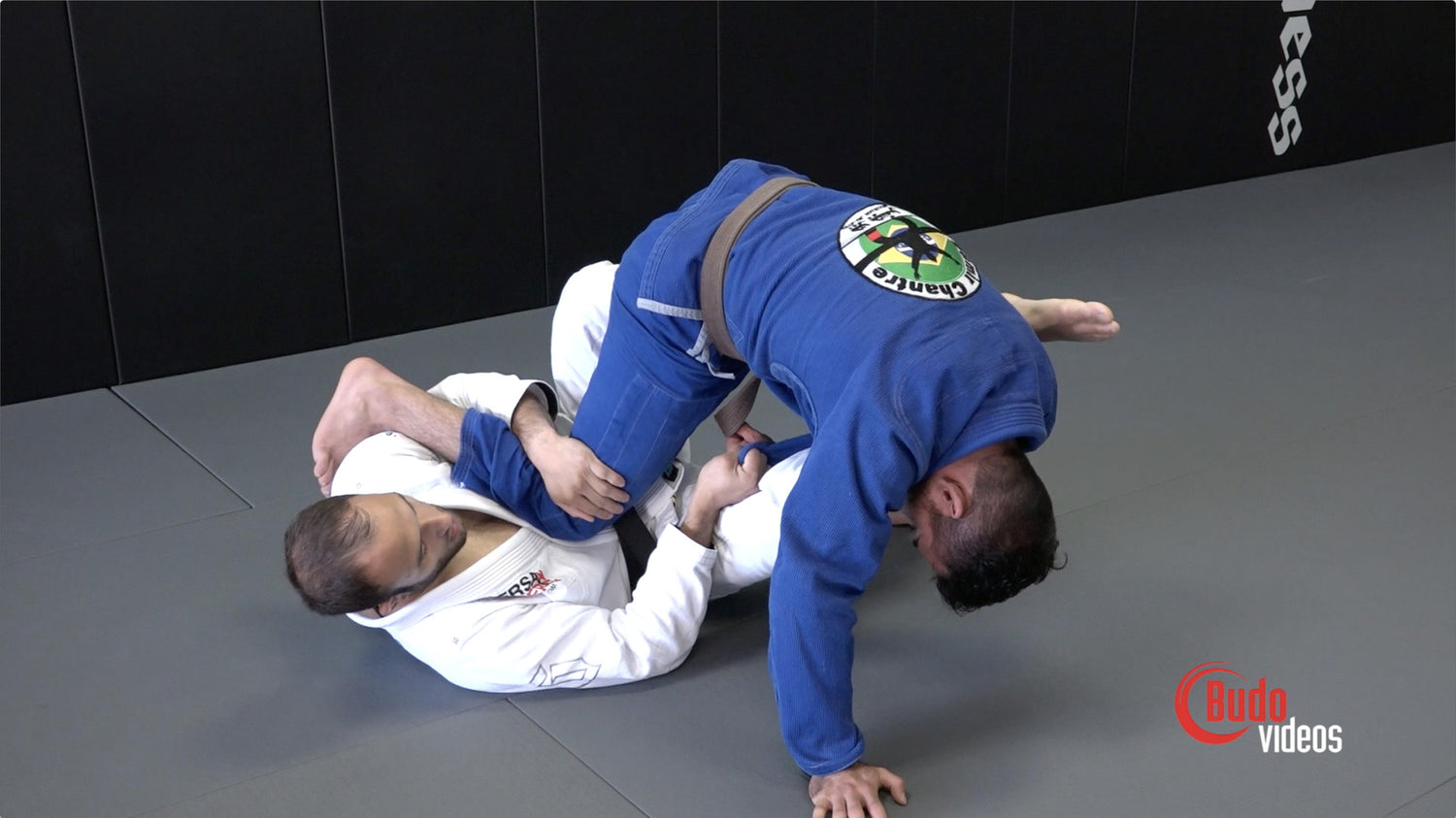 The Lasso Guard DVD or Blu-ray by Samir Chantre - Budovideos Inc