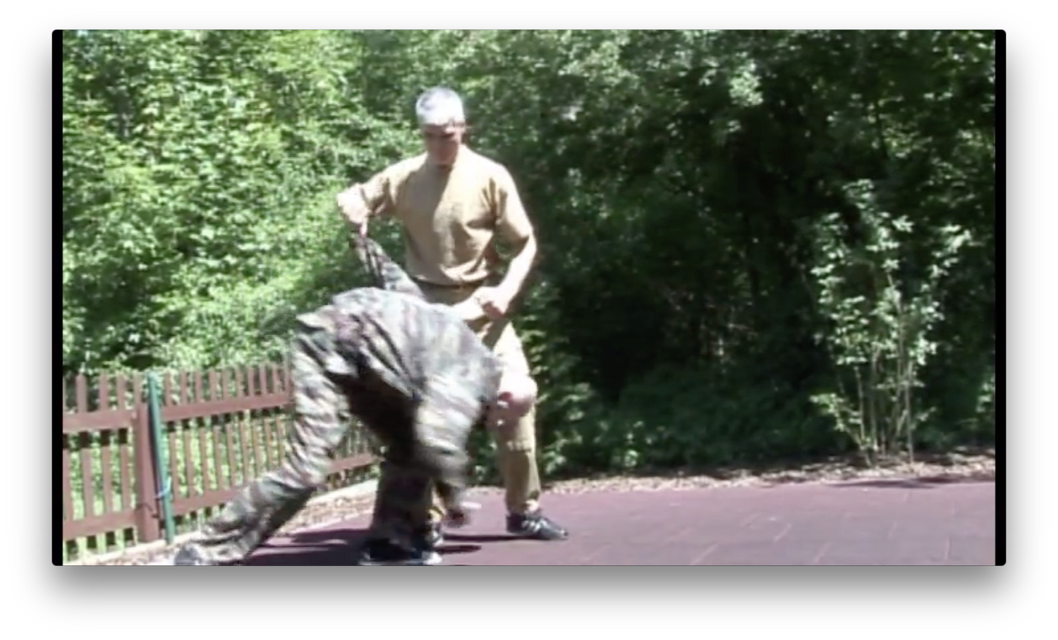 Russian Martial Art Systema SV Training Program Vol 2 by Dmitri Skogorev (On Demand) - Budovideos Inc