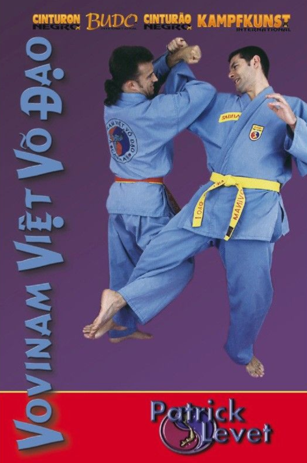 Vovinam Viet Vo Dao Vol 1 DVD with Patrick Levet - Budovideos Inc