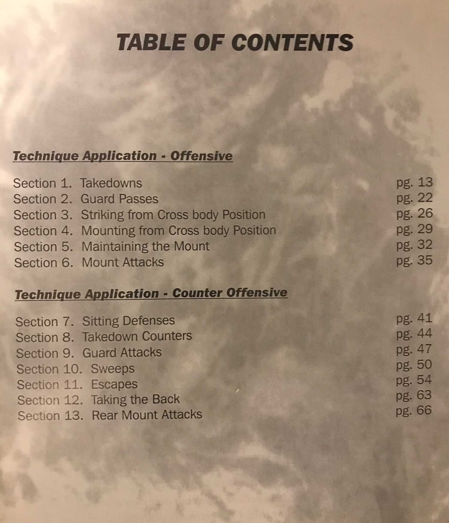 Vale Tudo Instructional Book by Pedro Carvalho (Signed) (Preowned) - Budovideos Inc