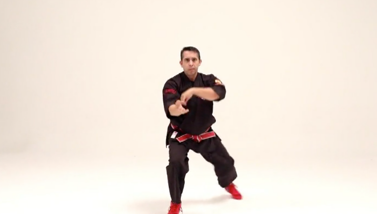 Kajukenbo Essential Intermediate 1 DVD with Licesio Prieto