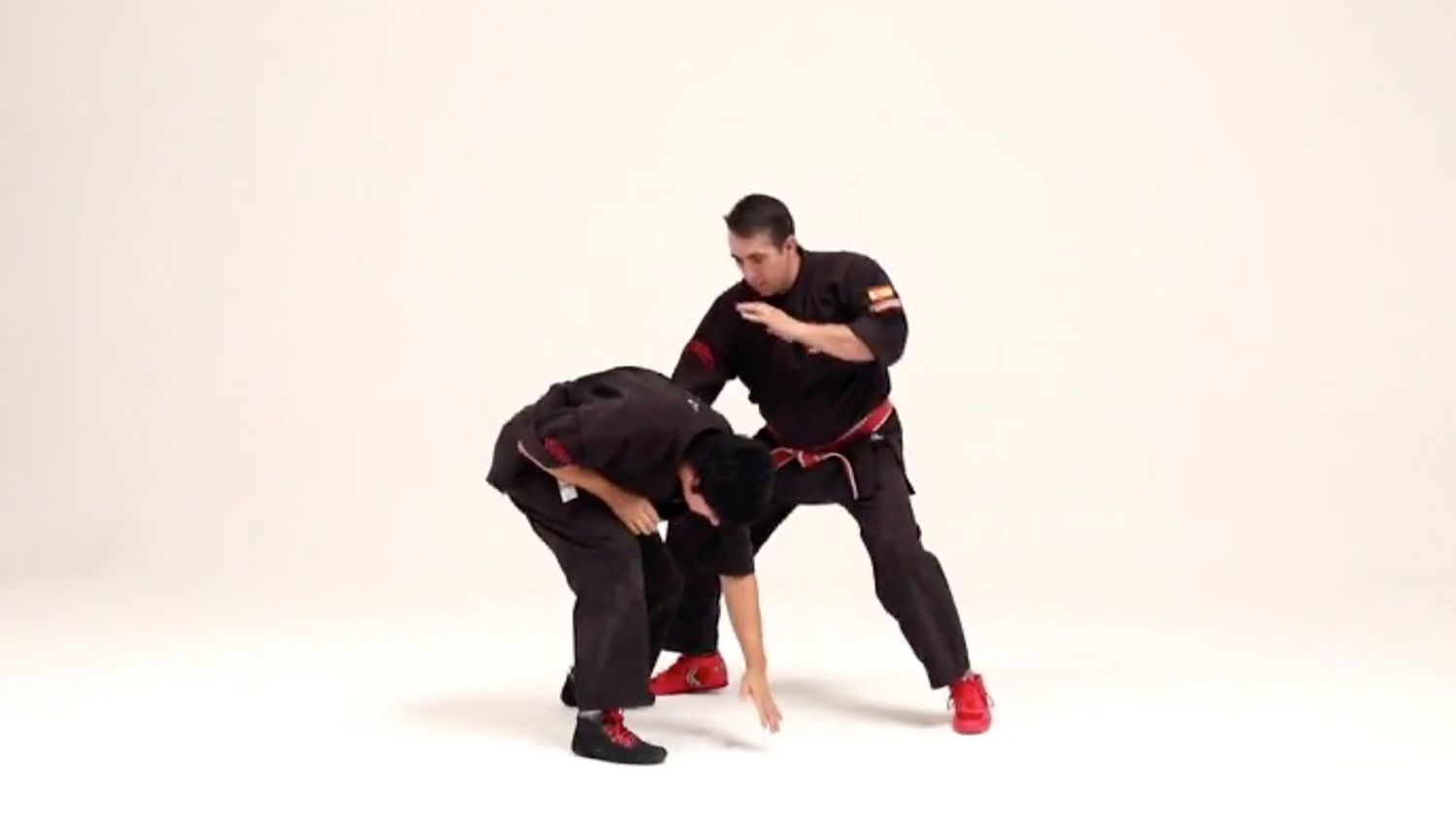 Kajukenbo Essential Intermediate 1 DVD with Licesio Prieto