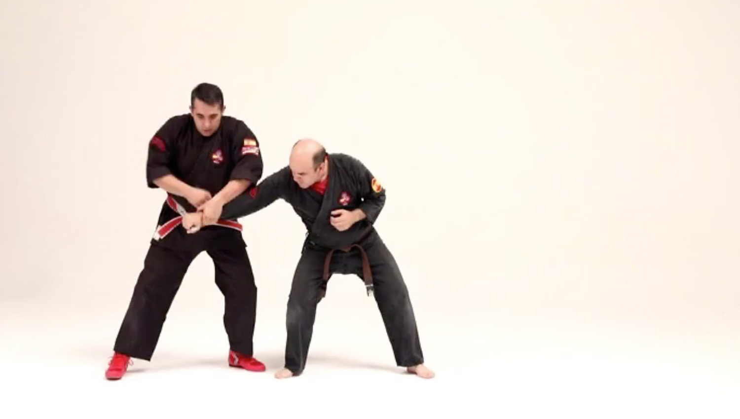 Kajukenbo Essential Intermediate 1 DVD with Licesio Prieto