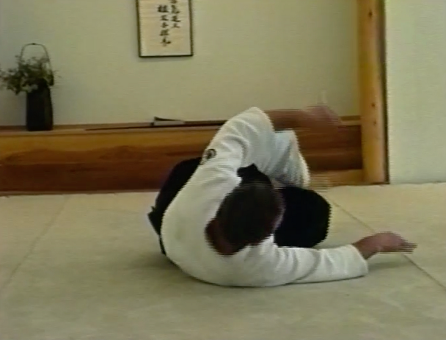 Ukemi - The Art of Falling by Bruce Bookman (On Demand)