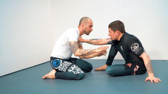 Mastering the Guillotine 2 by Joseph Capizzi (On Demand)