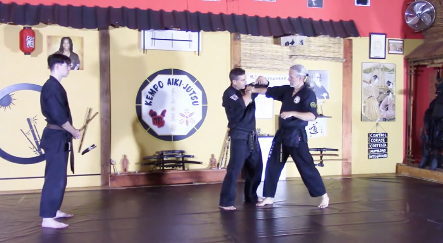 Kempo Aiki-Jutsu Vol 2 DVD with Carlos Garcia