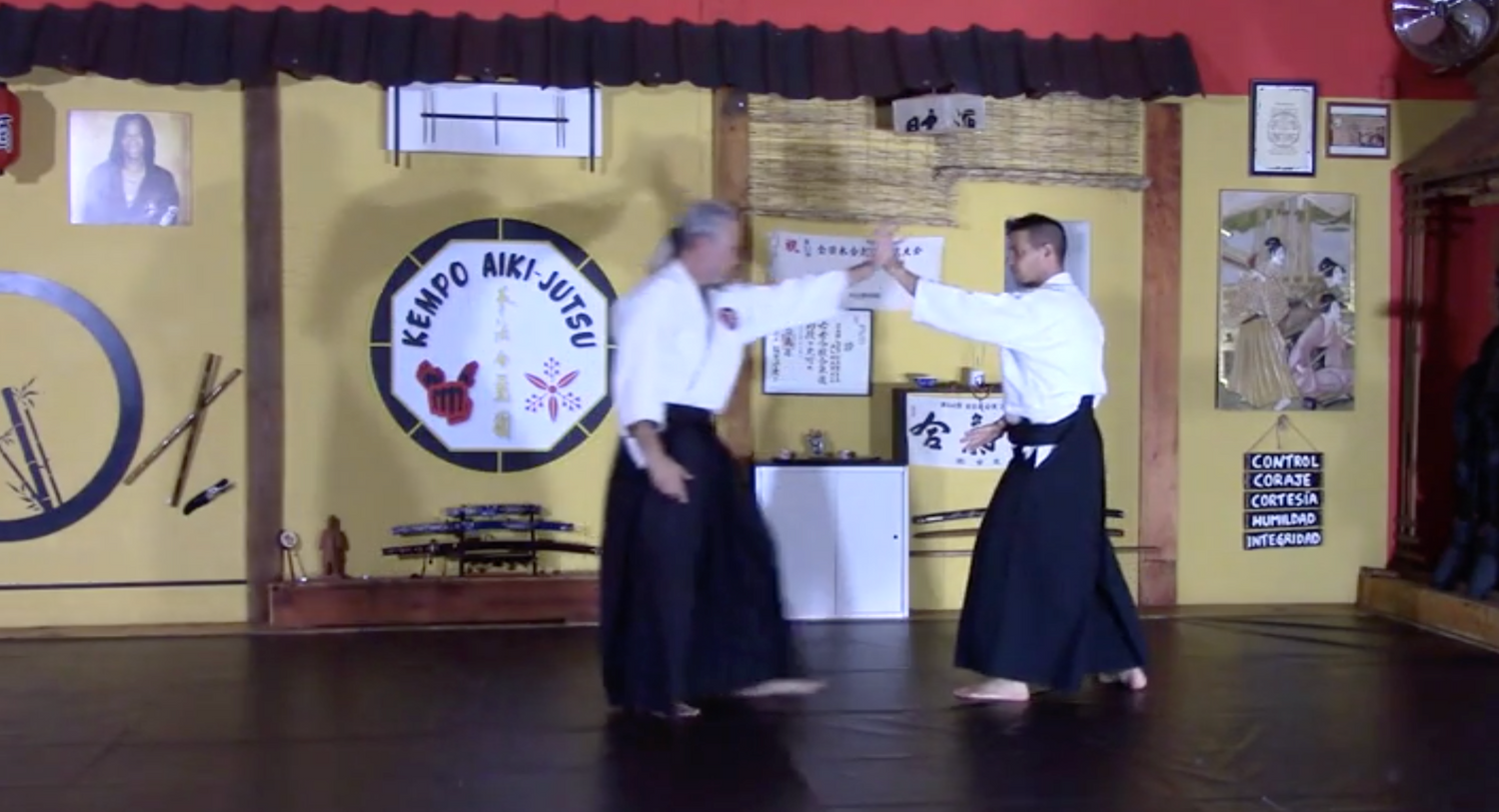 Kempo Aiki-Jutsu Vol 2 DVD with Carlos Garcia