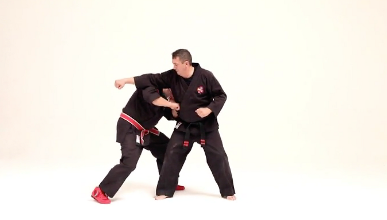 Kajukenbo Essential Intermediate 2 DVD with Licesio Prieto