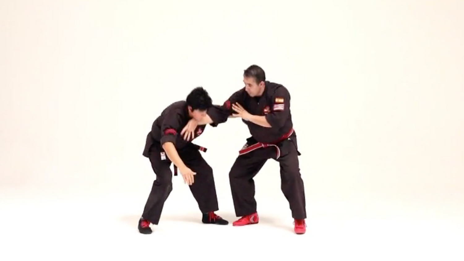 Kajukenbo Essential Intermediate 2 DVD with Licesio Prieto