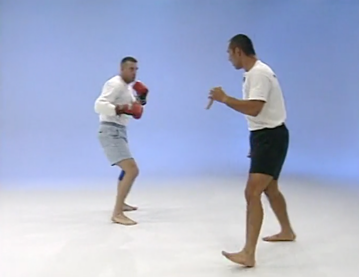 Ultimate Ground Fighting 2 DVD Set with Shahram Moosavi