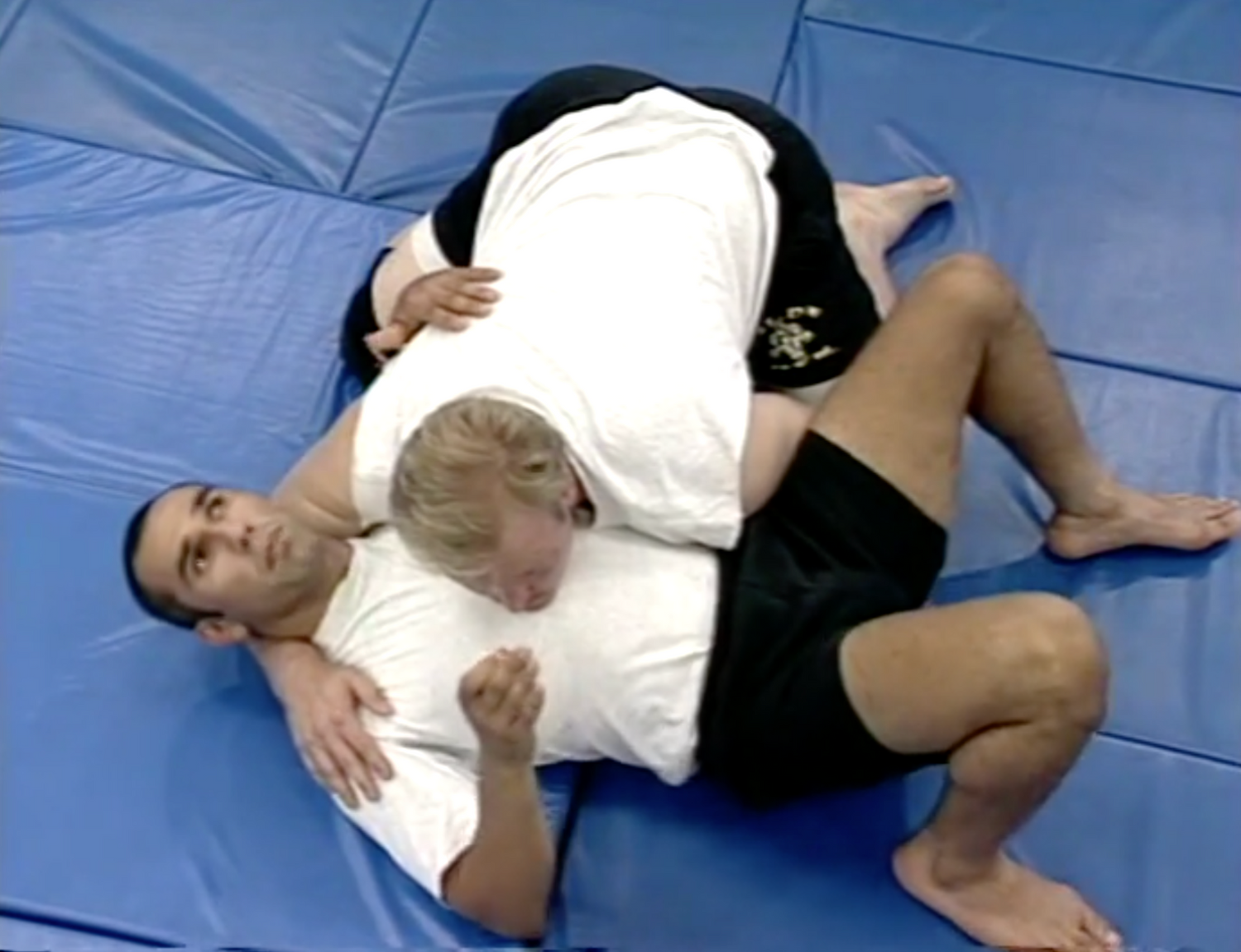 Ultimate Ground Fighting 2 DVD Set with Shahram Moosavi