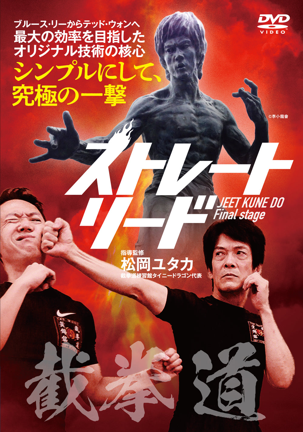 Golpe principal recto del DVD Jeet Kune Do de Yutaka Matsuoka